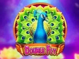 Double Fly screenshot